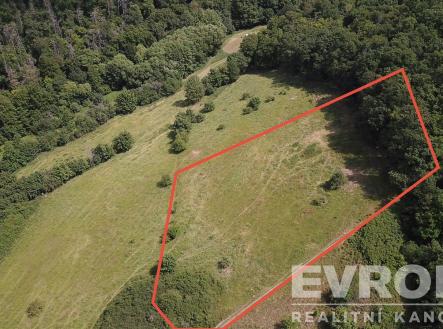 Prodej pozemku, trvalý travní porost, 3 521 m²