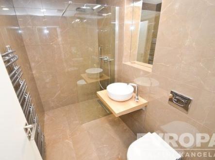 Pronájem bytu, 1+kk, 34 m²