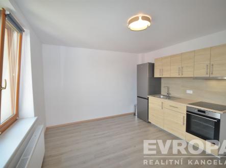 Pronájem bytu, 1+kk, 20 m²