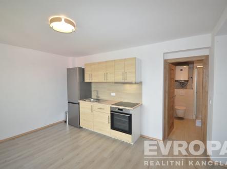 Pronájem bytu, 1+kk, 20 m²