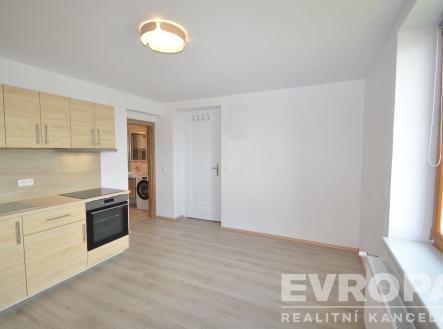 Pronájem bytu, 1+kk, 20 m²