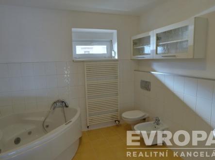 Prodej - dům/vila, 350 m²