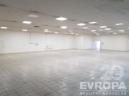 Pronájem obchodní prostor, 665 m²