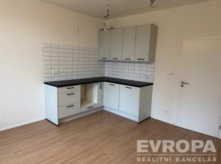 Pronájem bytu, 1+kk, 29 m²