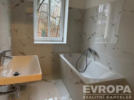 Pronájem bytu, 1+kk, 29 m²