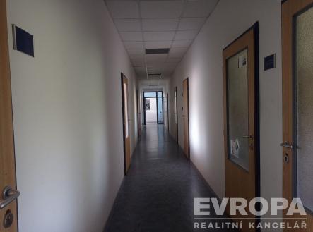 Pronájem kanceláře, 13 m²