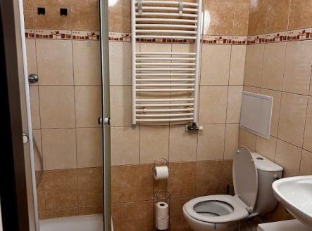 Pronájem bytu, 1+kk, 38 m²