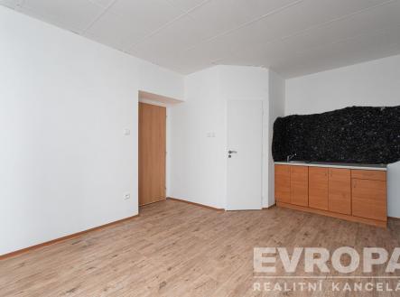 Prodej bytu, 1+kk, 23 m²