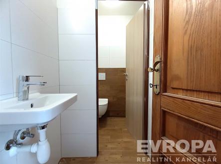 Pronájem - hotel, 302 m²