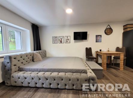 Pronájem bytu, 1+kk, 22 m²