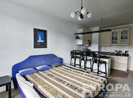 Pronájem bytu, 1+kk, 28 m²
