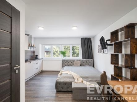 Prodej bytu, 1+kk, 22 m²