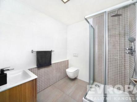 Pronájem bytu, 1+kk, 30 m²