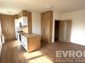 Pronájem bytu, 1+kk, 44 m²