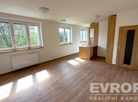 Pronájem bytu, 1+kk, 44 m²