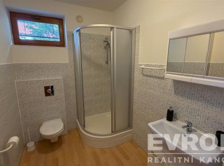 Pronájem bytu, 1+kk, 30 m²