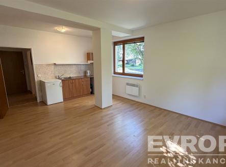 Pronájem bytu, 1+kk, 30 m²