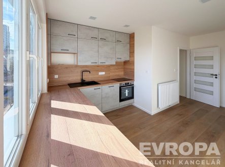 Pronájem bytu, 2+1, 54 m²