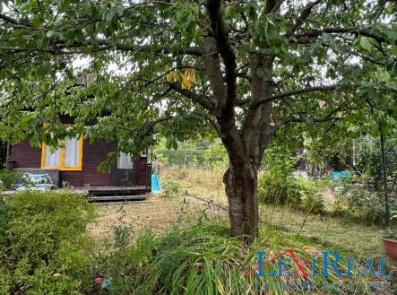 Prodej chaty/rekreačního objektu, 24 m²