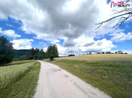 Prodej - pozemek, zemědělská půda, 26 825 m²