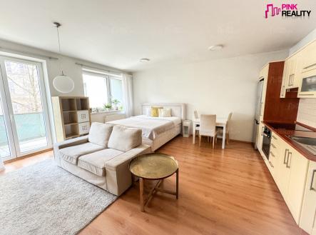 Pronájem bytu, 1+kk, 47 m²