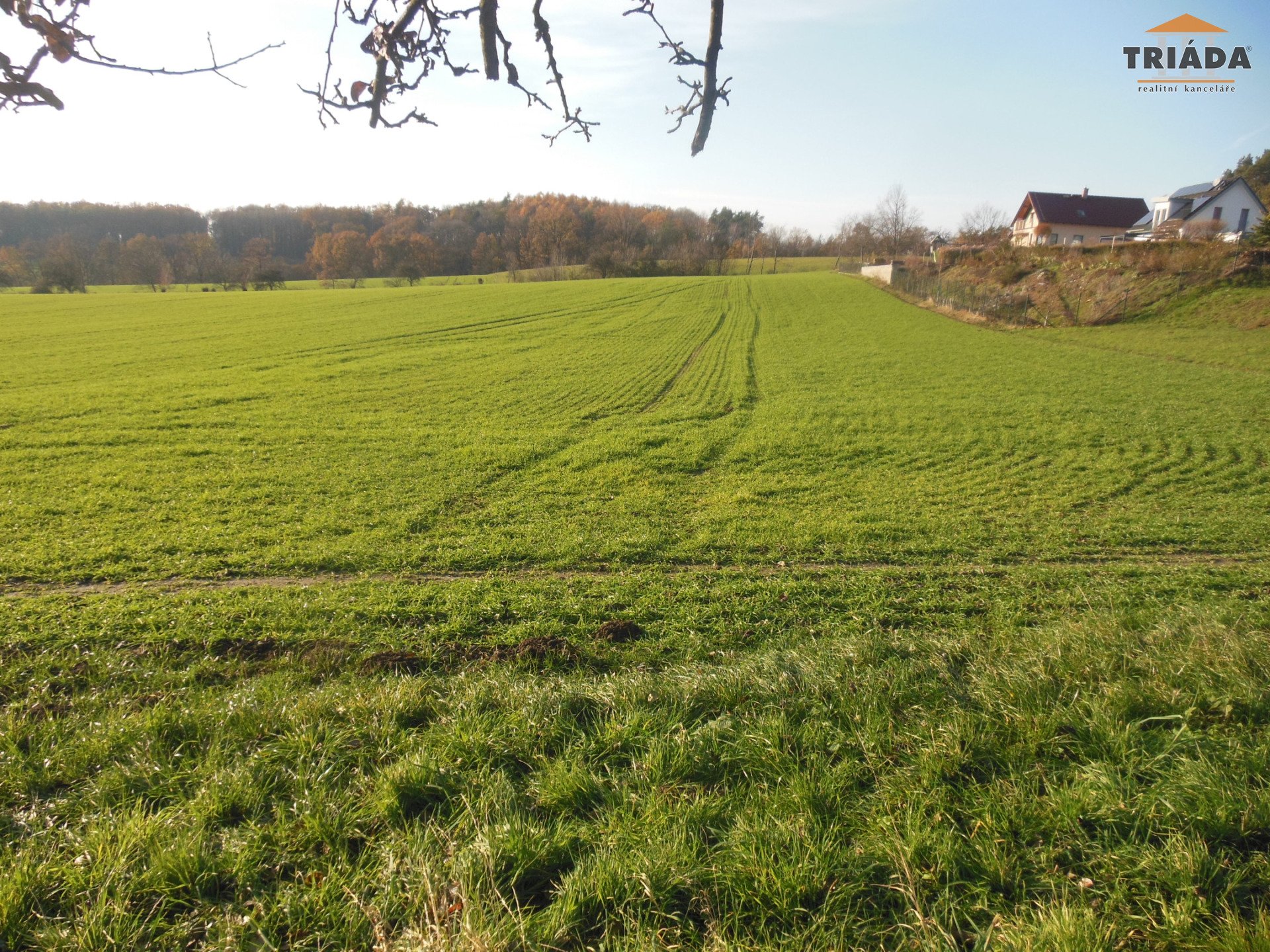 Prodej pozemku na stavbu několika RD