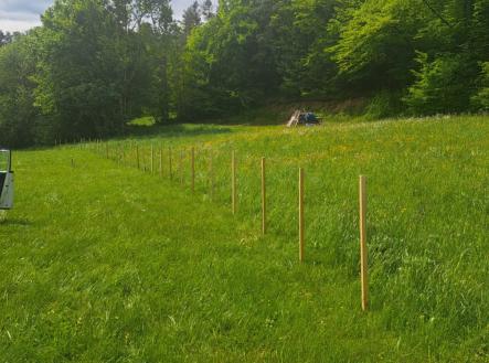 Prodej - pozemek, zemědělská půda, 810 m²
