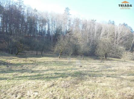 Prodej pozemku pro bydlení, 3 738 m²