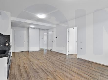 Pronájem bytu, 2+kk, 52 m²