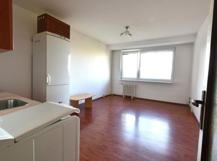 Pronájem bytu, 1+kk, 23 m²