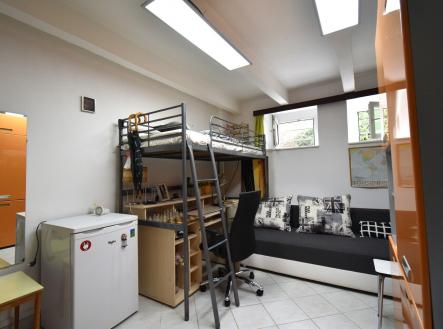 Pronájem bytu, 1+kk, 17 m²