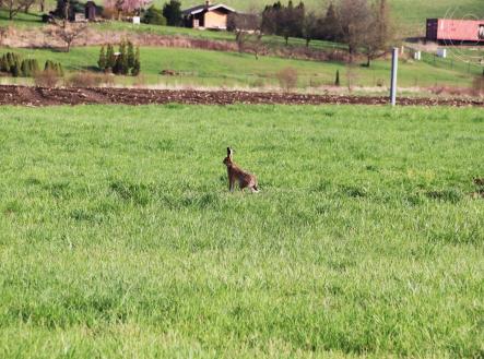 Prodej pozemku pro bydlení, 1 943 m²