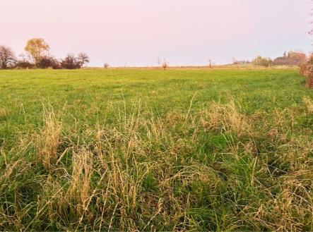 Prodej pozemku pro bydlení, 2 092 m²