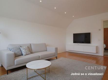 Prodej domu/vily, 301 m²