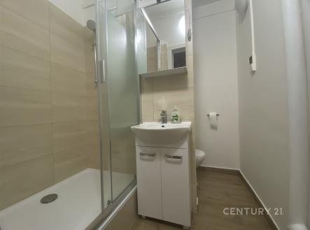 Pronájem bytu, 2+1, 45 m²