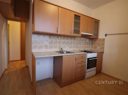 Pronájem bytu, 2+1, 60 m²