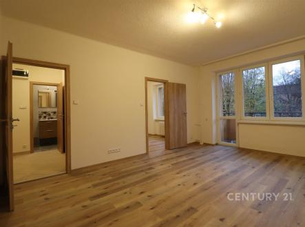 Pronájem bytu, 1+1, 40 m²