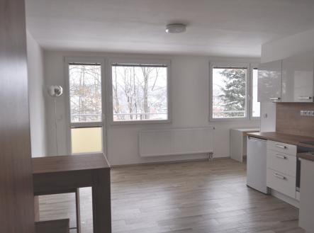 Pronájem bytu, 1+kk, 48 m²