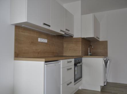 Pronájem bytu, 1+kk, 48 m²