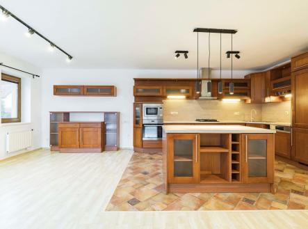 Pronájem - dům/vila, 410 m²