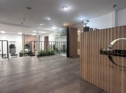 Pronájem obchodní prostor, 118 m²