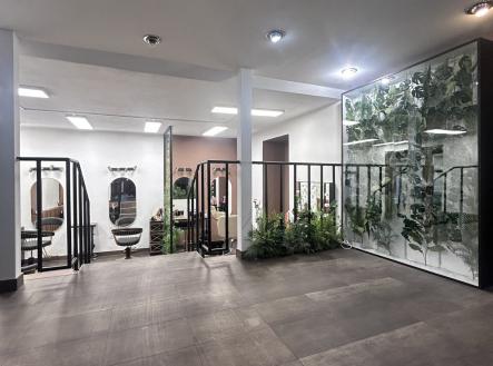 Pronájem obchodní prostor, 118 m²