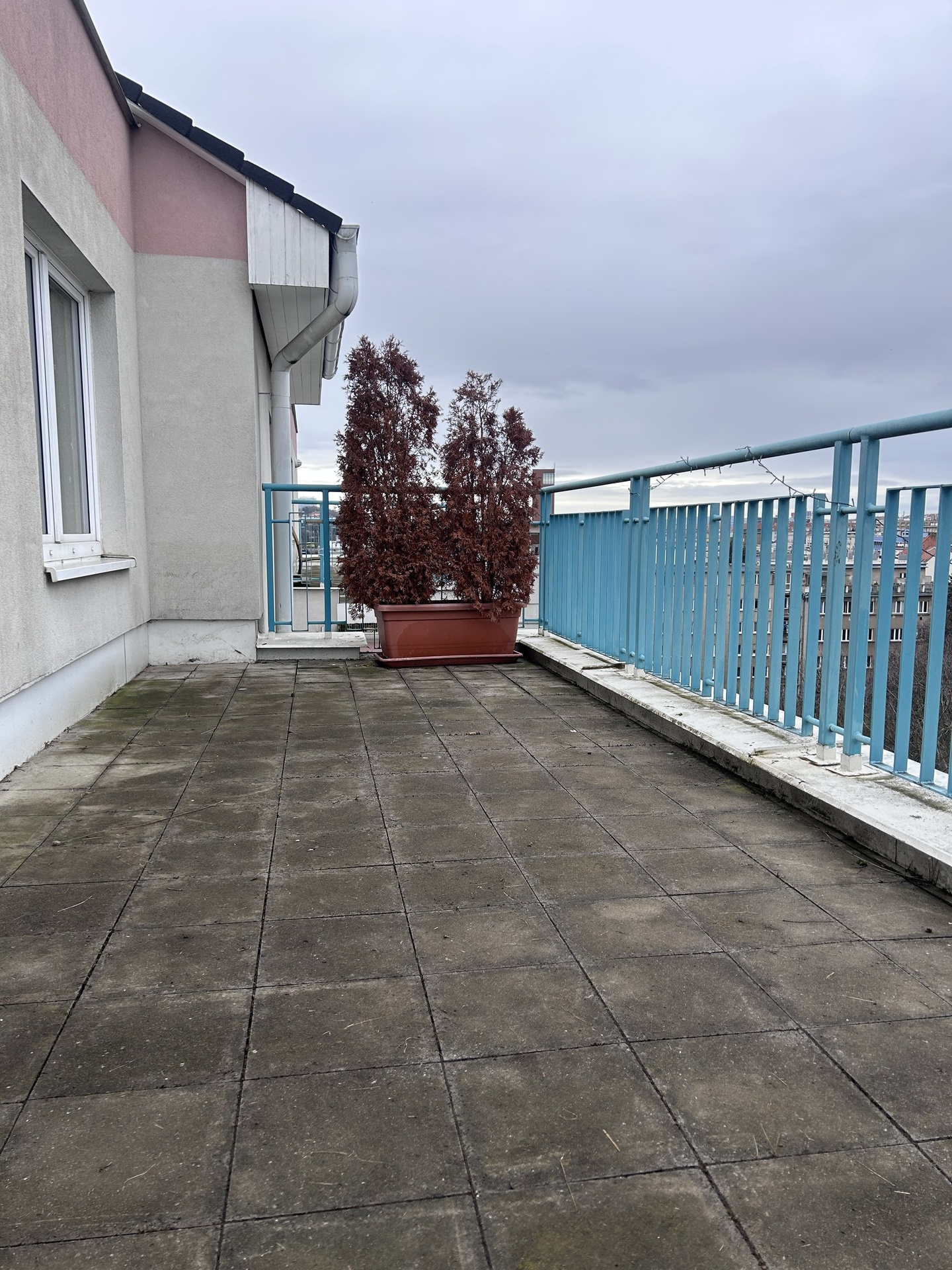 Fotku se nepodařilo načíst.