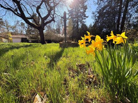Prodej pozemku pro bydlení, 805 m²