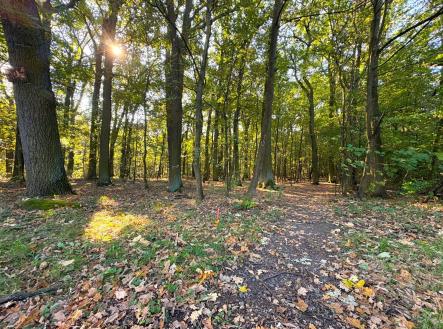 Prodej pozemku pro bydlení, 875 m²