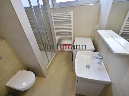 Pronájem bytu, 1+kk, 38 m²