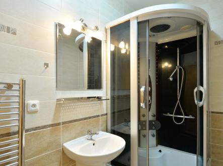 Pronájem bytu, 1+kk, 30 m²