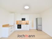 Pronájem bytu, 1+kk, 44 m²