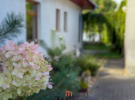 Prodej domu/vily, 320 m²