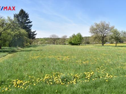 Prodej pozemku, zemědělská půda, 1 938 m²